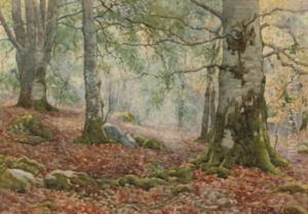 Dappled Sunlight Oil Painting by Ralph William Bardill