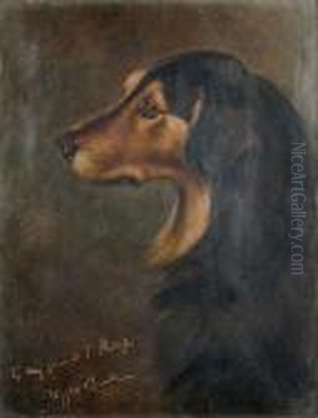 Studyof A Dachshund Oil Painting by Wright Barker