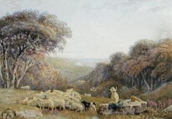 A Shepherd With His Sheep And 
Sheepdog In A Coastallandscape Singed Lower Right 