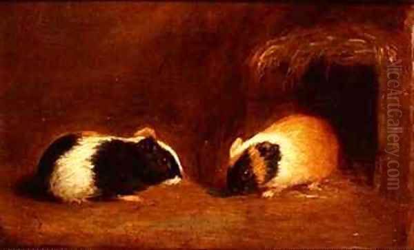 A Pair of Guinea Pigs Oil Painting by Edmund Bristow