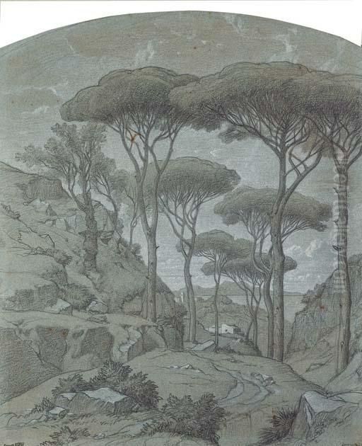 Des Pins Parasols Pres De Sorrente Oil Painting by Edouard Francois Bertin