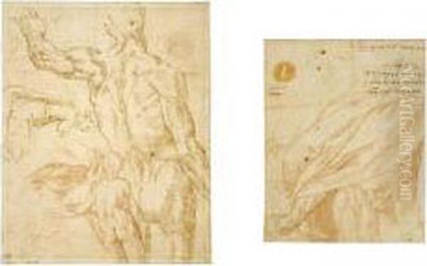 Figure Studies: A Standing Male 
Nude Seen From Behind, A Female Nude Seen From Behind, A Kneeling Woman,
 A Right Eye Oil Painting by Jacopo Zanguidi, Called Jacopo Bertoija