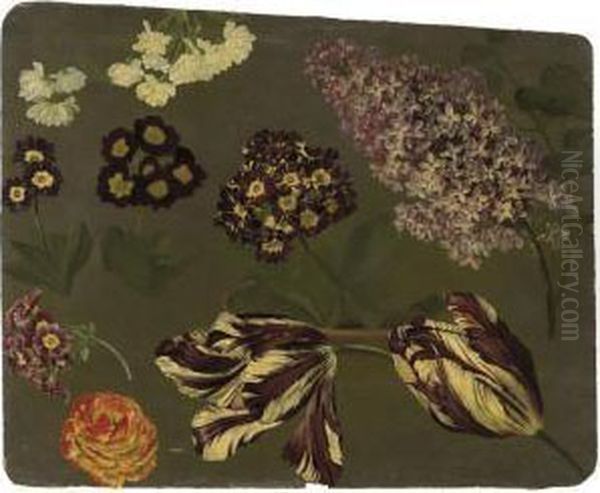 Une Branche De Lilas Violet, Des
 Auriculae Mauves, Des Tulipes Panachees Violettes Et Blanches Et Un 
Camelia Oil Painting by Pancrace Bessa