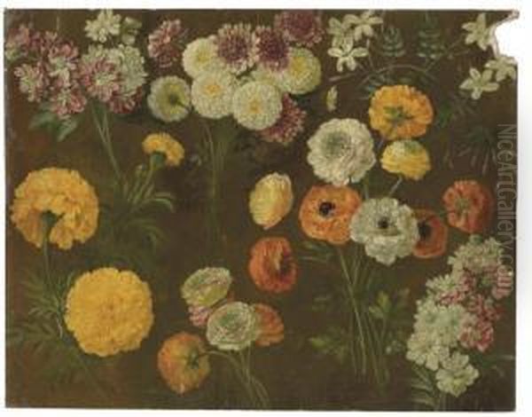 Pink And White Matthiola, A Pink
 Dianthus, Chrysanthemum, White Jasmine, Ranonculus And Marigolds Oil Painting by Pancrace Bessa