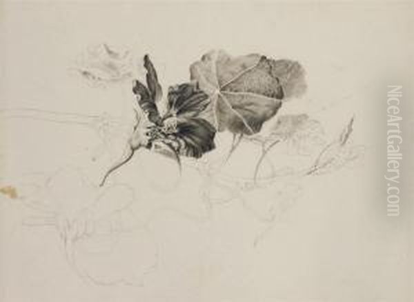 Ensemble De Trois Dessins Representant Des Feuillages Et Des Troncsd'arbres Oil Painting by Pancrace Bessa