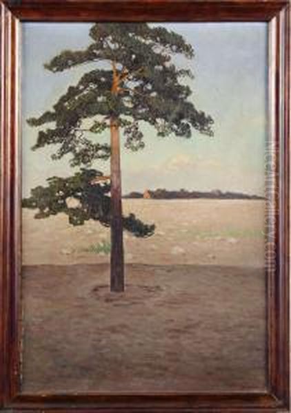 Motiv Fran Sandhamn Oil Painting by Artur Bianchini