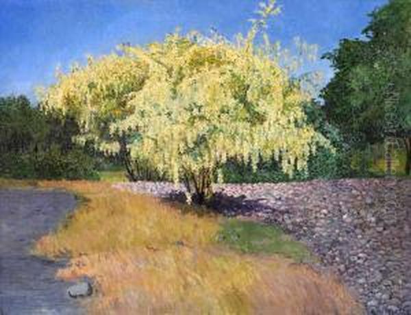 Gullregn, Sandhamn Oil Painting by Artur Bianchini