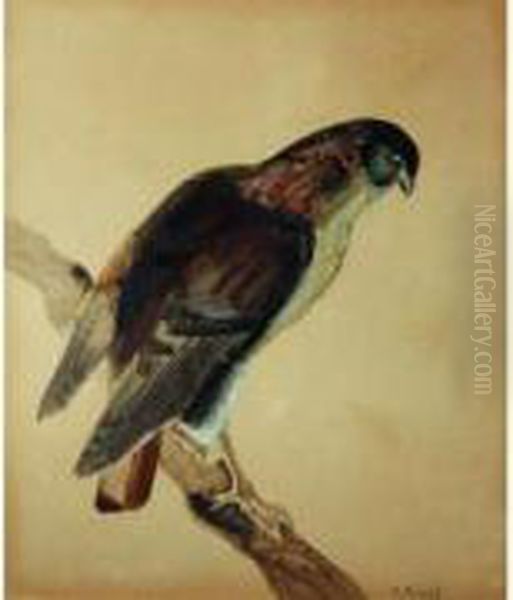 - Oil Painting by Raymond Bigot