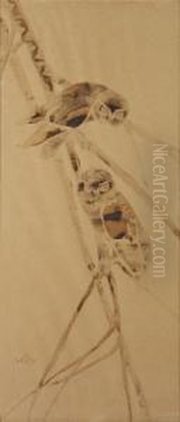 Deux Chouettes Oil Painting by Raymond Bigot