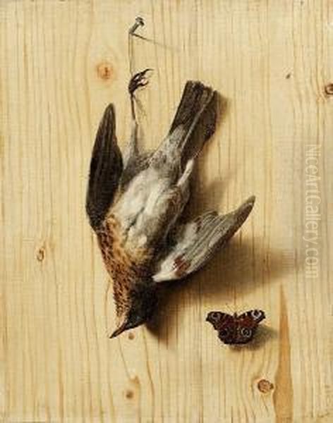 A Trompe L'oeil Of A Wooden 
Partition With A Dead Fieldfare Suspended From A Nail With A Peacock 
Butterfly Oil Painting by Jacobus Biltius