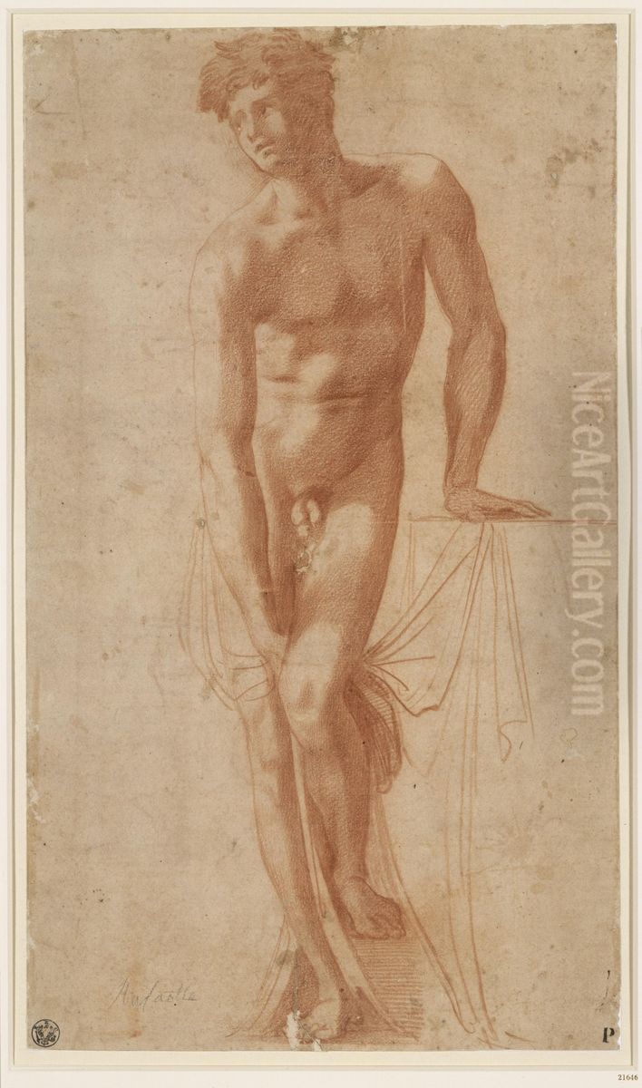 Male nude Oil Painting by Baccio Bandinelli