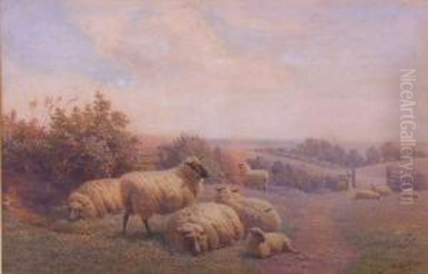 Sheep Resting, Summer Afternoon Oil Painting by Henry Birtles