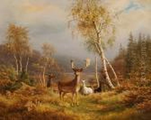 Bogh: Fallow Deer In The Woods 
In Autumn. 