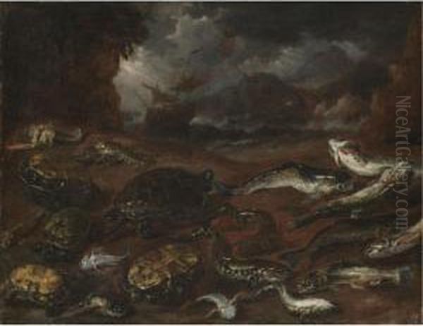 A Still Life Of Turtles, An Eel,
 Pike, Lobsters And Other Fish On The Shore, A Ship In Stormy Seas 
Beyond Oil Painting by Peeter Boel