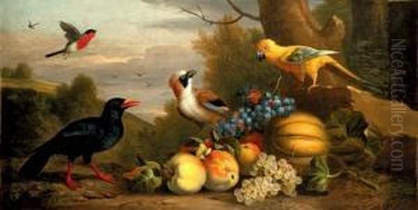 A Bullfinch, A Chough, A Jay And
 A Sun Conure With Quinces, Grapes And Melons In A Landscape Oil Painting by Jakob Bogdani Eperjes C