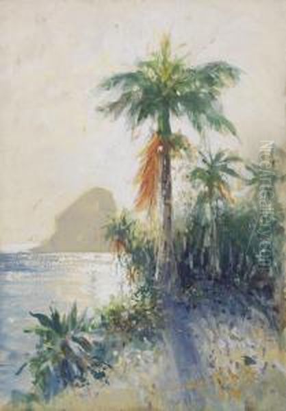 Rio Dejaneiro, 
Blick Auf Denzuckerhut Oil Painting by Hans Bohrdt