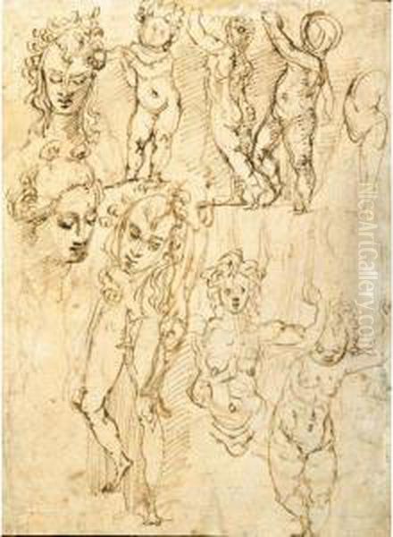 Studi Di Putti E Di Teste Di Figura E Parti Anatomiche Oil Painting by Perino Del Vaga (Pietro Bonaccors