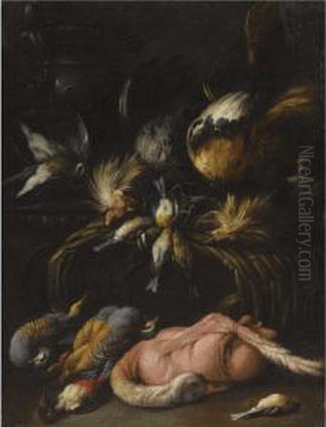 A Still Life With Dead Game, 
Including A Brace Of Partridge, A Plucked Goose And Several Songbirds Oil Painting by Felice Boselli