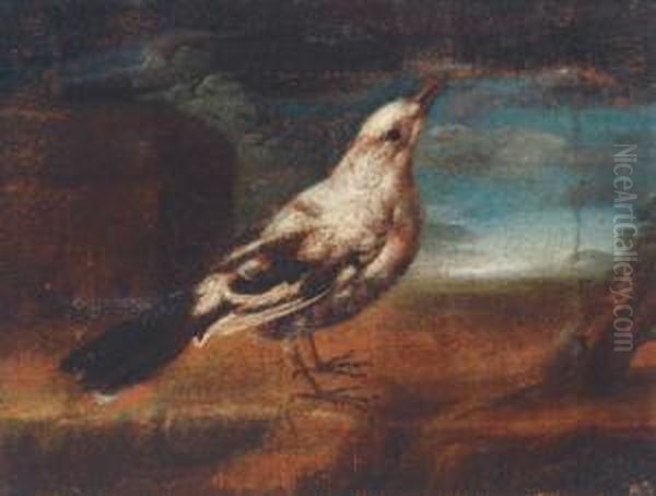 Zwei Vogel Oil Painting by Felice Boselli