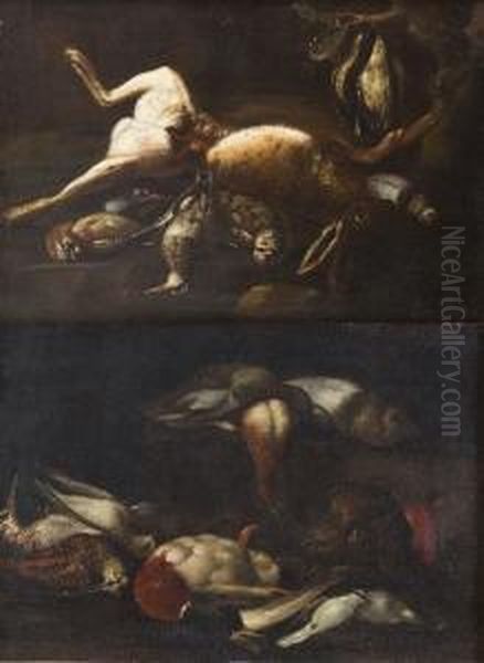 Natura Morta Con Cacciagione E Cane
 Natura Morta Con Cacciagione E Lepre Oil Painting by Felice Boselli