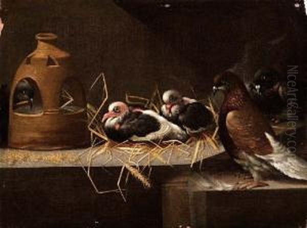 Piccioni Oil Painting by Felice Boselli