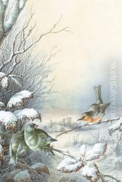 A Robin And A Greenfinch In A Snowy Hedgerow, A Winter Landscape Beyond Oil Painting by Harry Bright