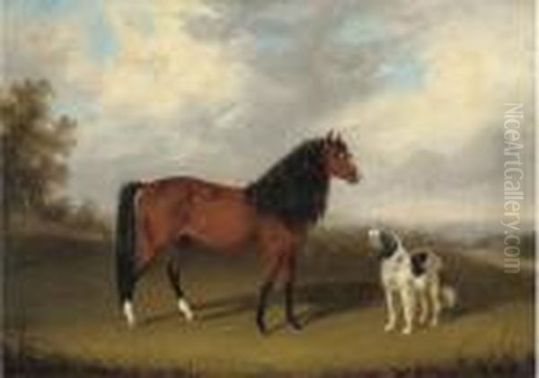 A Grey With A Dog In A Parkland;
 And A Chestnut Horse With A Dog Inan Extensive Landscape Oil Painting by Edmund Bristow