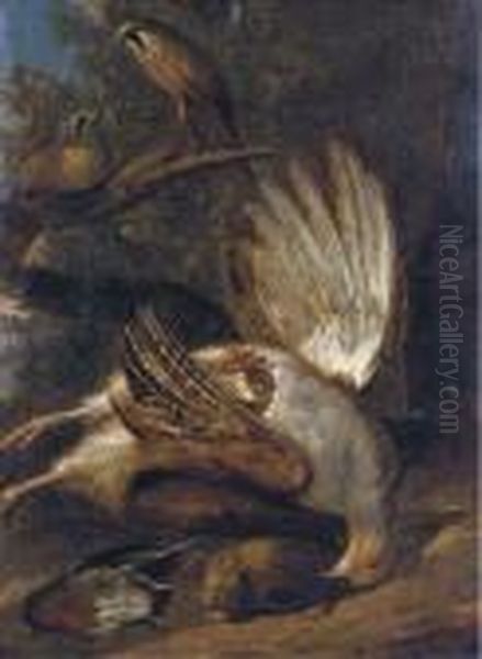 A Hunting Still Life With A 
Pheasant On A Stone Ledge, Song Birdson A Forest Floor And Two Other 
Songbirds On A Branch Nearby Oil Painting by Johannes Bronkhorst