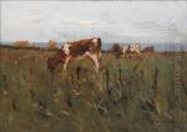 Cattle Grazing In A Meadow, On Board Signedlower Right Oil Painting by John Alfred Arnesby Brown