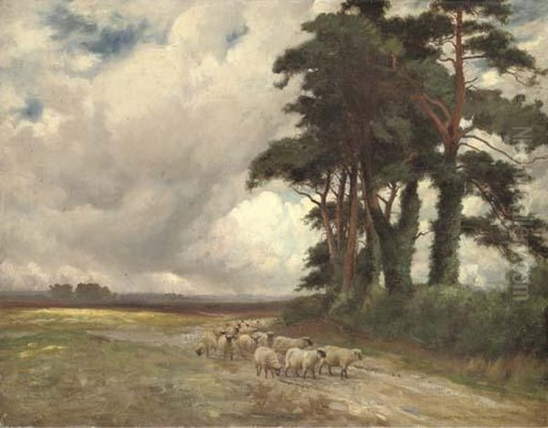 Sheep And Pine Trees Oil Painting by John Alfred Arnesby Brown
