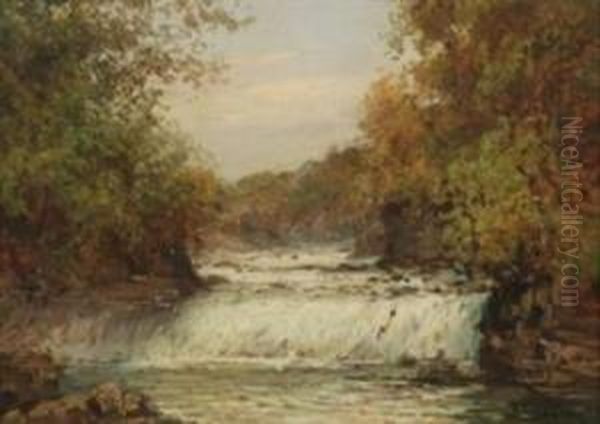 Cascate Presso Le 
Cacce Reali Oil Painting by Giuseppe Buscaglione