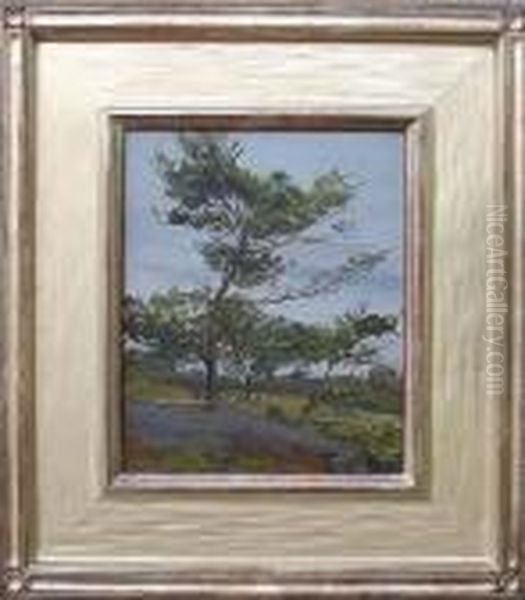 A Lone Pine Oil Painting by Mary Cable Butler
