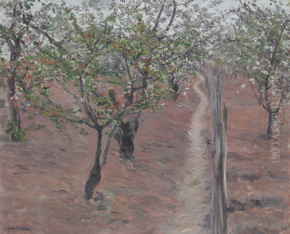 Verger, Arbres En Fleurs, Petit Gennevilliers Oil Painting by Gustave Caillebotte