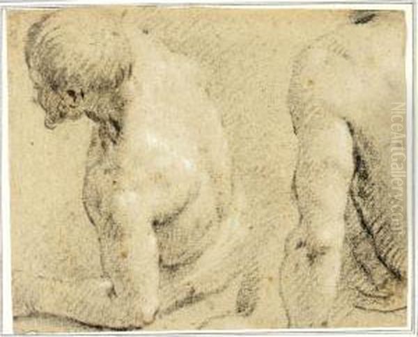 Study Of The Torso And Head Of A
 Man Leaning To The Left, And Another Study Of A Shoulder Oil Painting by Carletto Carliari