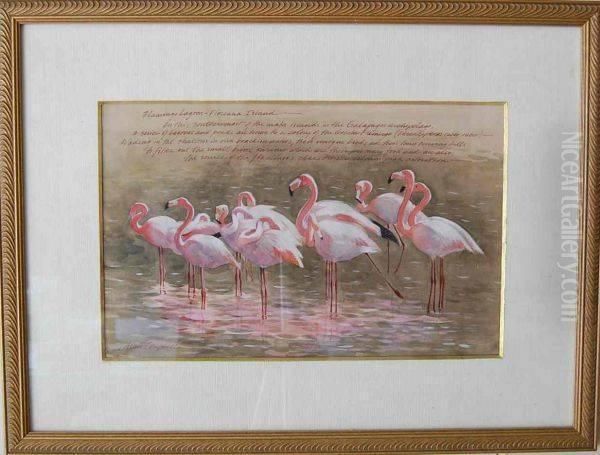 Watercolor Painting Oil Painting by J. Alan Campbell