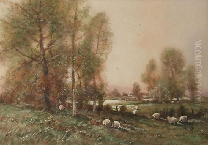 A Rural Landscape, Sheep Grazing By A Copse - Oil Painting by Thomas, of Pall Mall Butler