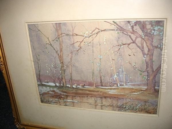 Sheep In A Winter Landscape Oil Painting by Thomas, of Pall Mall Butler