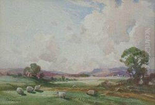 Sheep Grazing In Pasture Oil Painting by Thomas, of Pall Mall Butler
