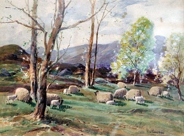 Sheep Grazing Oil Painting by Thomas, of Pall Mall Butler