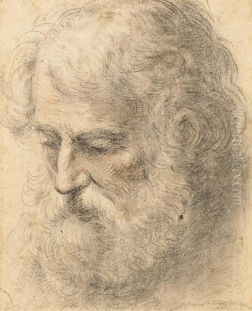 Avec Inscriptions Oil Painting by Domenico Maria Canuti