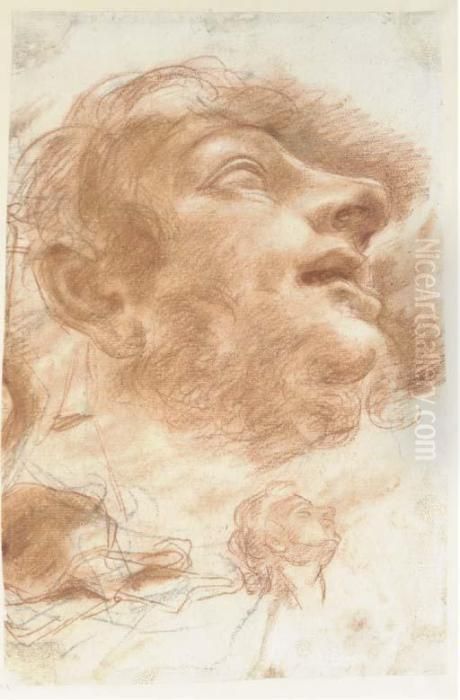 Head Of A Man Looking Up, In 
Profile To The Right, With Asubsidiary Study Of The Same (recto); Two 
Studies Of A Bowl(verso) Oil Painting by Domenico Maria Canuti
