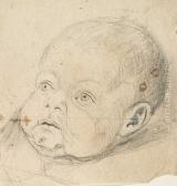 Cabeza De Nino Oil Painting by Antonio Carnicero Y Mancio