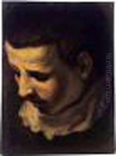 Head Of A Young Man Looking Down To The Left Oil Painting by Lodovico Carracci