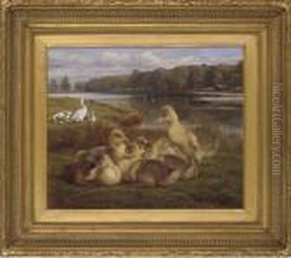 Ducklings On A River Bank Oil Painting by Samuel John Carter