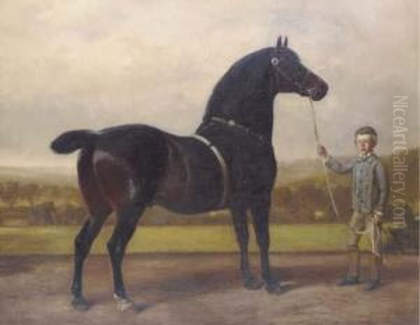 Greatshot, Held By A Groom Oil Painting by Samuel John Carter