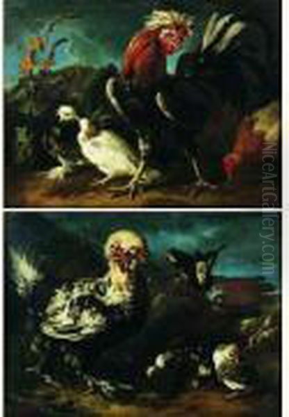 Scene D'interieur De Basse-cour Oil Painting by Giovanni Agostino Cassana