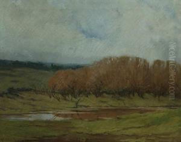 Paisaje Con Aguada Oil Painting by Roberto Castellanos Mane