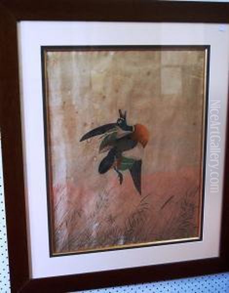 Shot Duck Oil Painting by Neville Henry Peniston Cayley