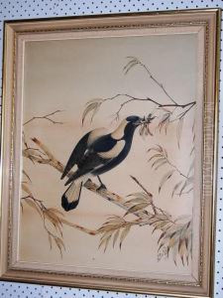 Magpie And Grasshopper On A Branch Oil Painting by Neville Henry Peniston Cayley
