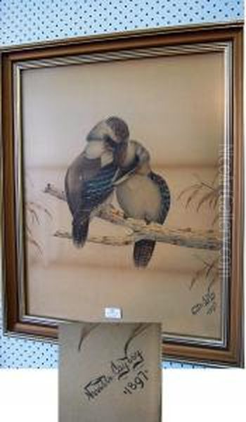 Two Kookaburra's Snuggling On A Branch Oil Painting by Neville Henry Peniston Cayley